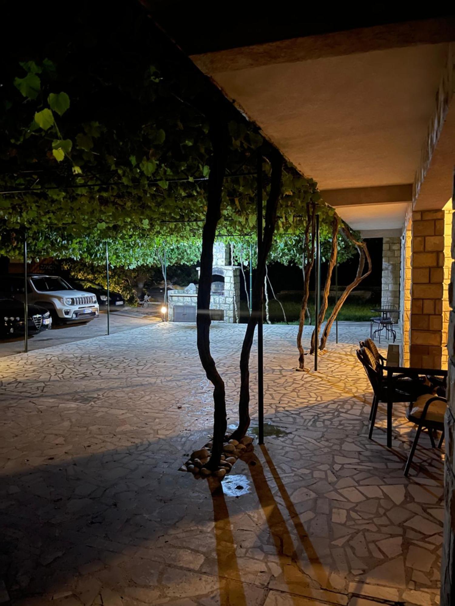 Apartment Mendula Budva